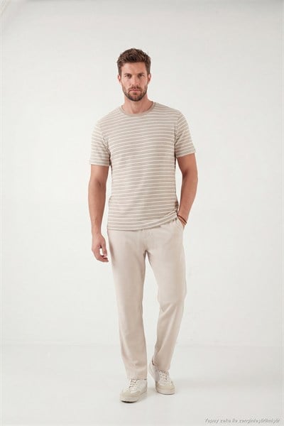 Pamuklu Regular Fit Bisiklet Yaka Erkek T Shirt 5904027 TAŞ