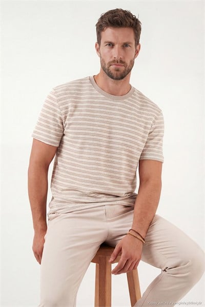 Pamuklu Regular Fit Bisiklet Yaka Erkek T Shirt 5904027 TAŞ