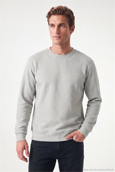 Pamuklu Regular Fit Bisiklet Yaka Erkek Sweat 5905965 Kül