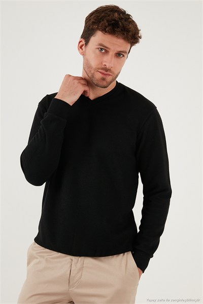 Pamuklu Regular Fit V Yaka Erkek Kazak 456202 V SİYAH