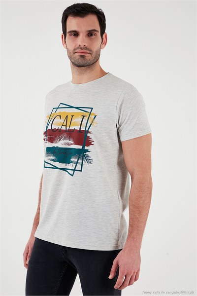Pamuklu Slim Fit Bisiklet Yaka Erkek T Shirt 541CALIFORNIA24 AÇIK MELANJ