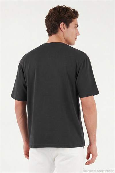 Regular Fit Bisiklet Yaka Erkek T Shirt 5904028 ANTRASİT