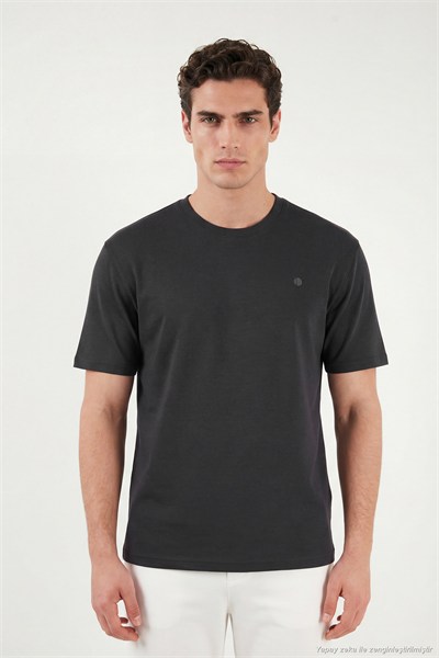 Regular Fit Bisiklet Yaka Erkek T Shirt 5904028 ANTRASİT