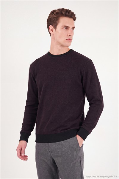Slim Fit Bisiklet Yaka Pamuklu Erkek Kazak 456201 MÜRDÜM
