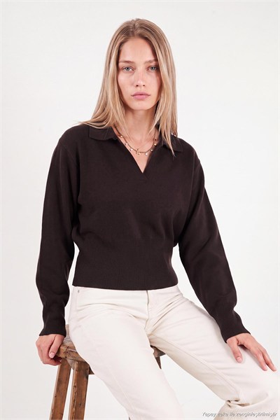 Yumuşak Dokulu Regular Fit Polo Yaka Kadın Kazak 680KZ00163 KAHVE