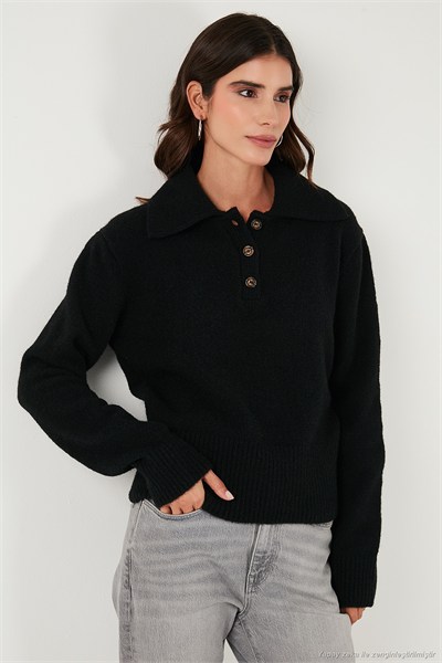 Yün Karışımlı Regular Fit Düğmeli Kadın Polo Yaka Kazak 4617019 SİYAH