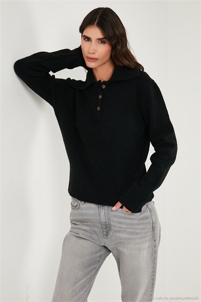 Yün Karışımlı Regular Fit Düğmeli Kadın Polo Yaka Kazak 4617019 SİYAH