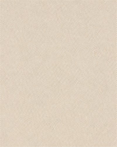 Classic Collar Shirt Bej