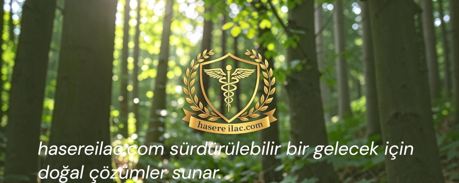 banner2