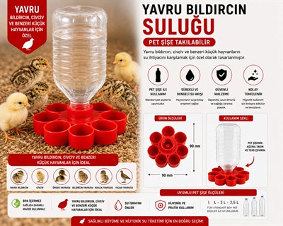Civciv , Keklik ve Yavru Bıldırcın Suluğu Pet Şişe Uyumlu  7 Gözlü