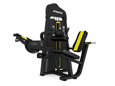 TB23 - SEATED LEG CURL