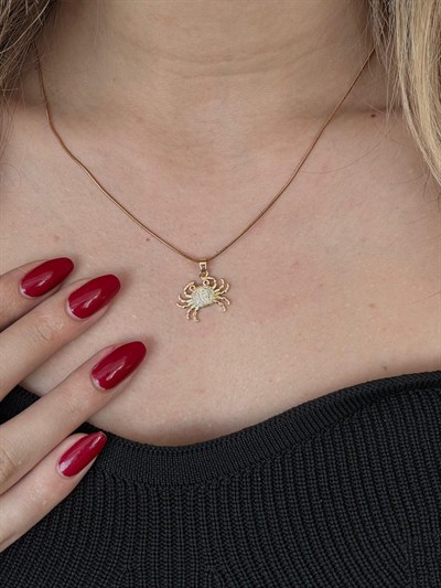 Crabby Taşlı Gold Kolye 3446