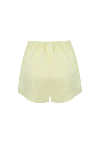 Silk Shorts