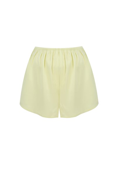 Silk Shorts