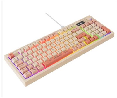 Everest KB-79 SILENT PRO Bej-Pembe-Turuncu SESSİZ RGB Q Membrane Oyuncu Klavyesi