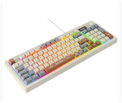 Everest KB-79 SILENT PRO Gri-Gri Mavi-Kahve SESSİZ RGB Q Membrane Oyuncu Klavyesi