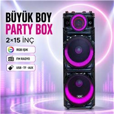 NDR NDR1526 Çift Karaoke Mikrofonlu Bluetooth Hoparlör FM Radyo 100W 2x15 İnç RGB Kumandalı Siyah