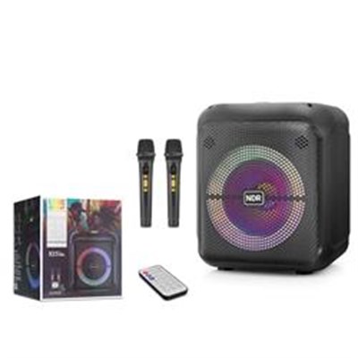 NDR NDR2210 Çift Karaoke Mikrofonlu Bluetooth Hoparlör FM Radyo 20W 10.5 İnç RGB Kumandalı Siyah