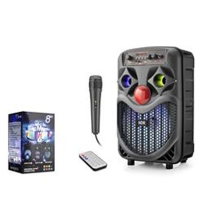 NDR NDRP66 Karaoke Mikrofonlu Bluetooth Hoparlör FM Radyo 10W 8 İnç RGB Siyah