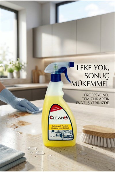 Çok Amaçlı Temizleyici ve Leke Çıkarıcı Sprey 750 ML
