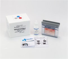 Demir Test Kiti