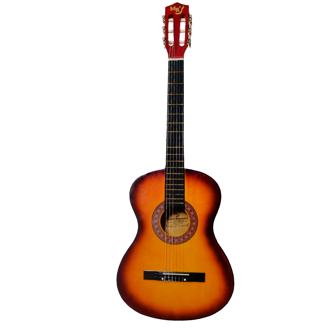 Gitar Çantası
