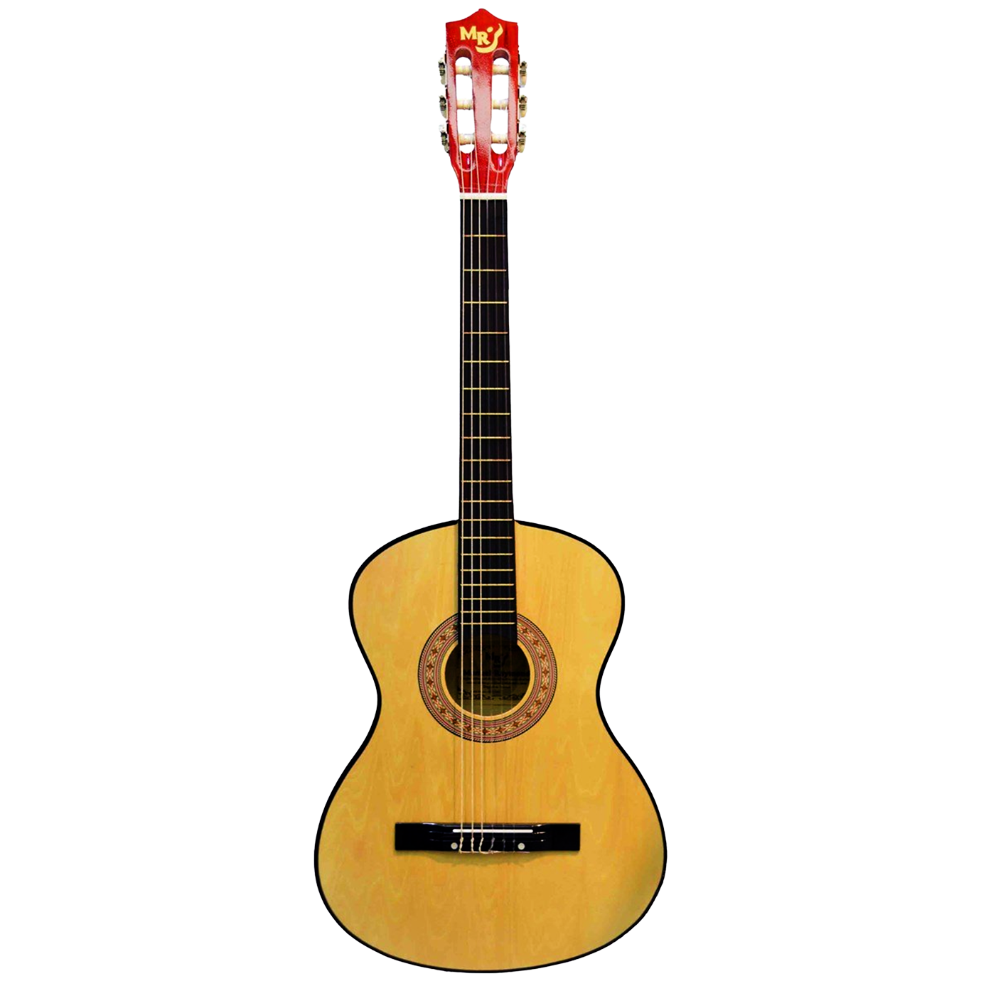 Gitar Çantası