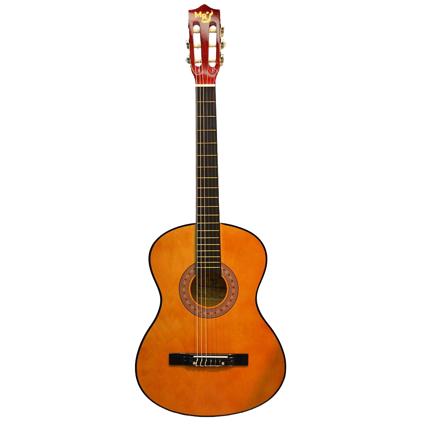 Gitar Çantası