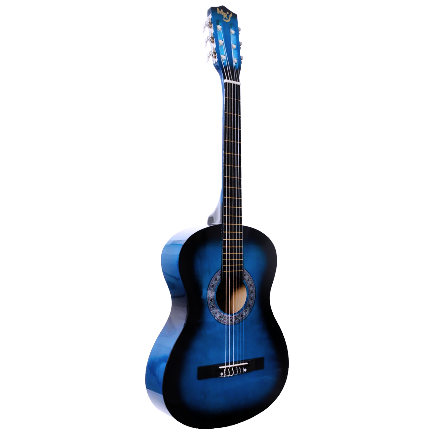 Gitar Çantası