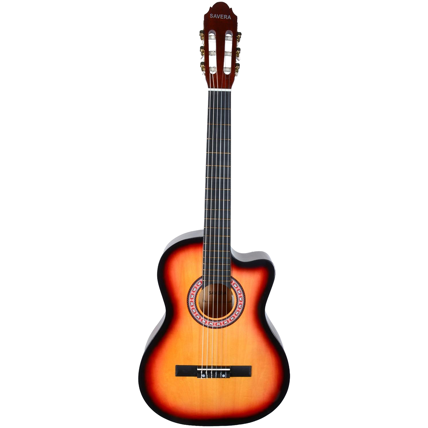 Gitar Çantası