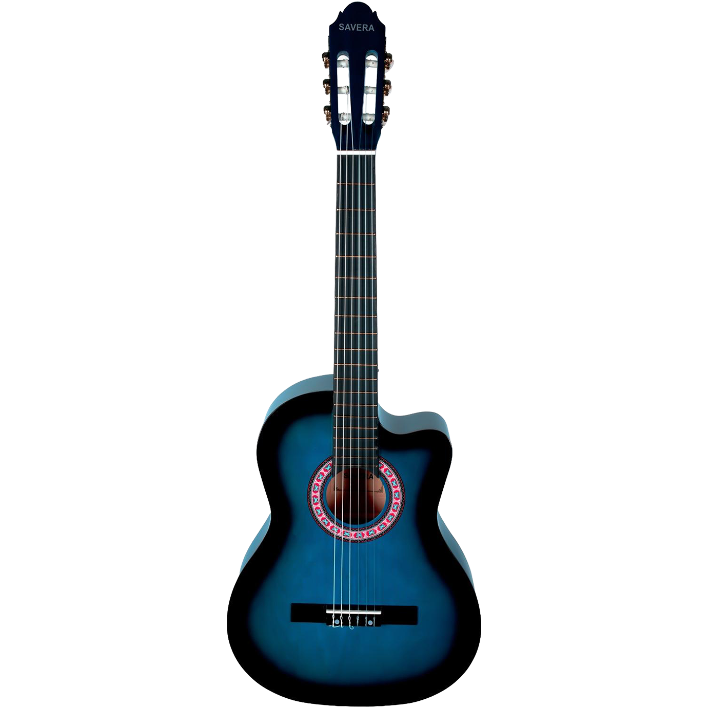 Gitar Çantası