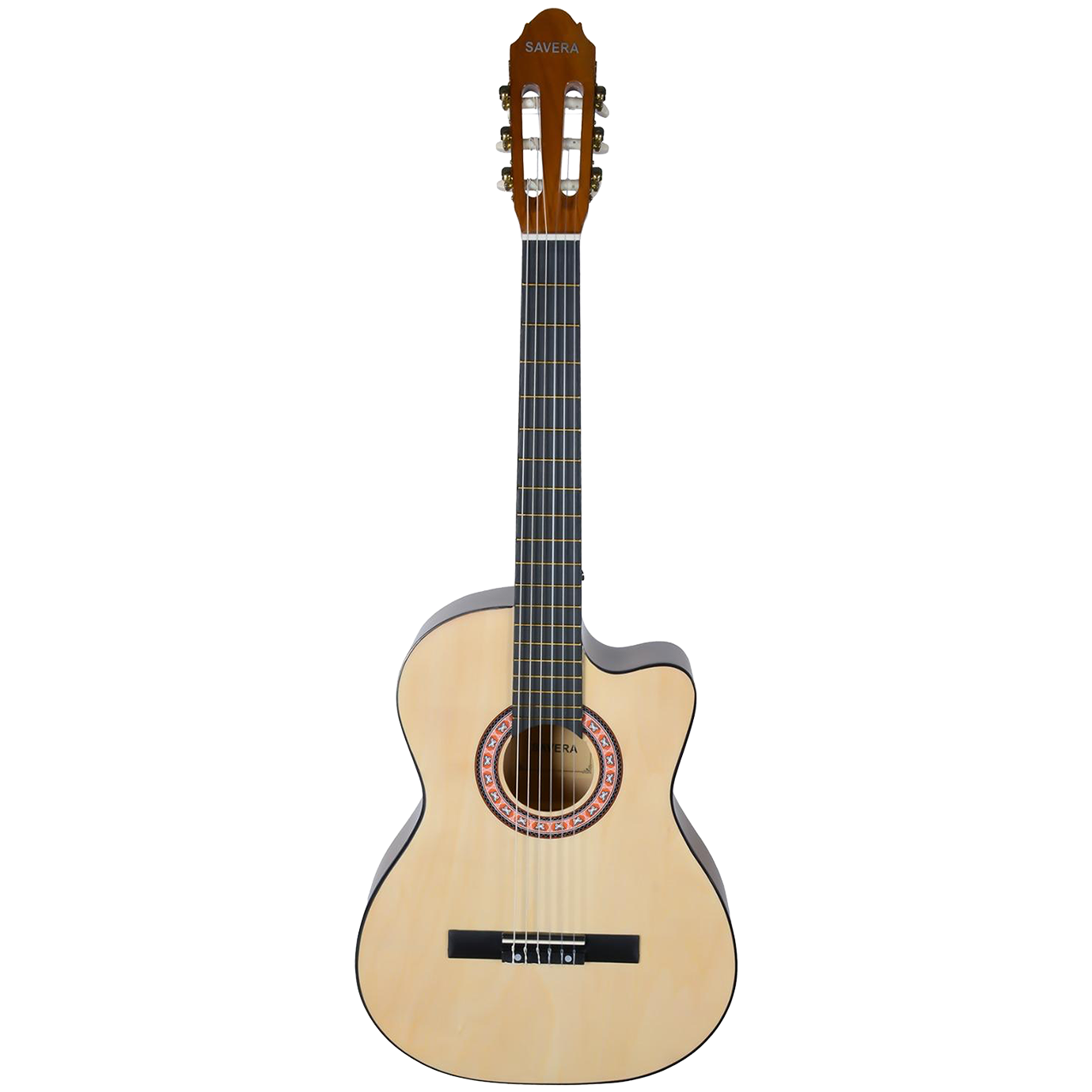 Gitar Çantası