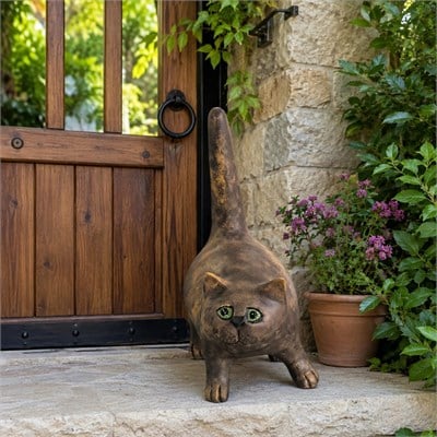 Tombiş Kedi