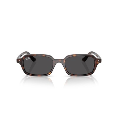 Ray-Ban RB 4455 135987 .49 Unisex Güneş Gözlüğü