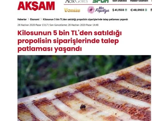 Akşam Gazetesi 2020