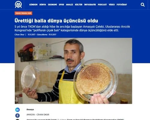 Anadolu Ajansı 2017