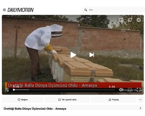 Dailymotion 2017