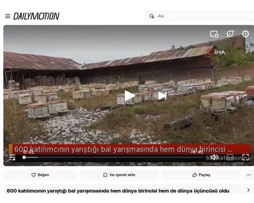 Dailymotion 2019