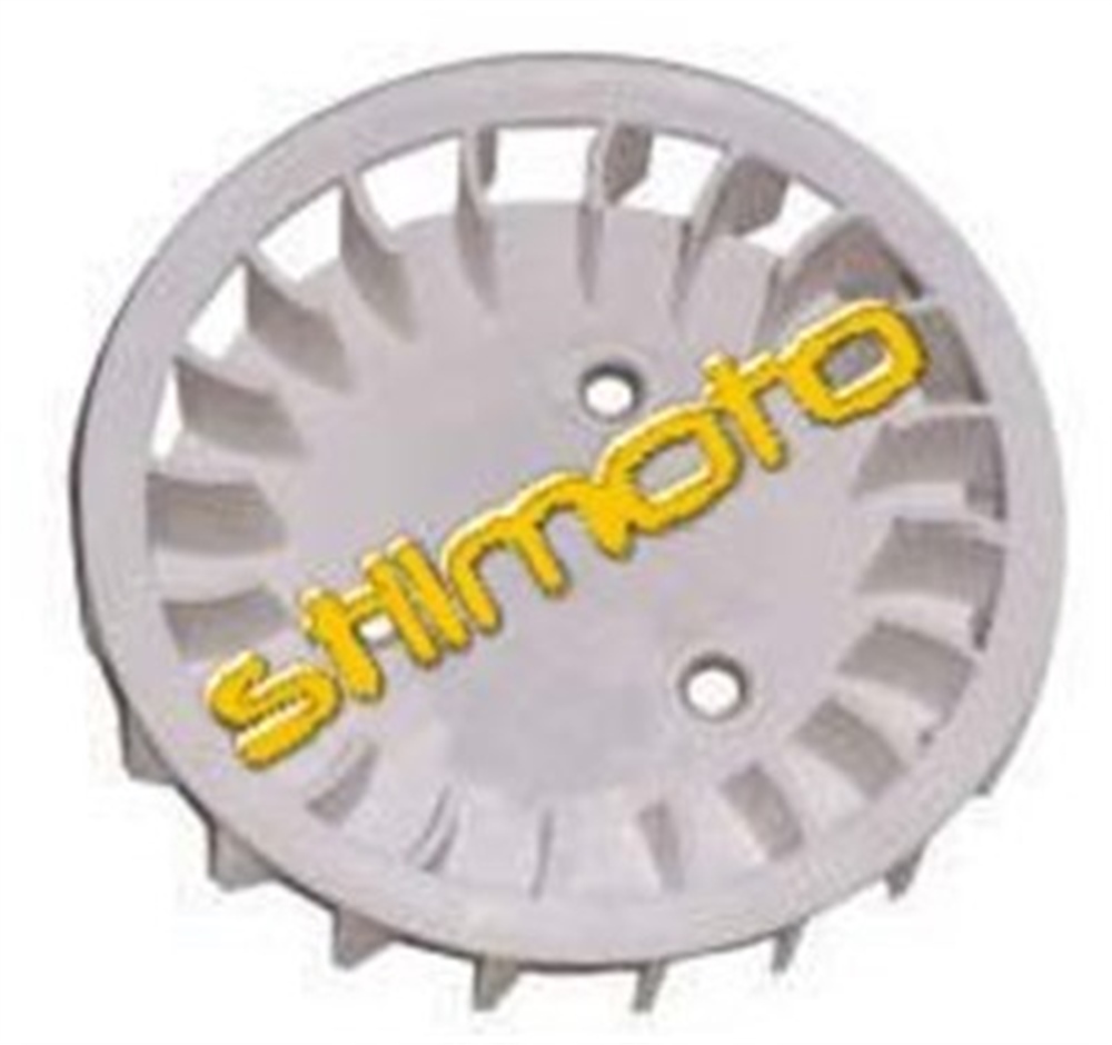 BWS 100 MANYETO FANI 