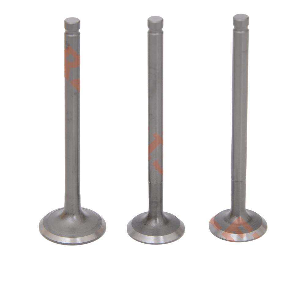 CUP SUBAP TK LIFAN 110CC [ 3 SIBOPLU ] [ VTC ]