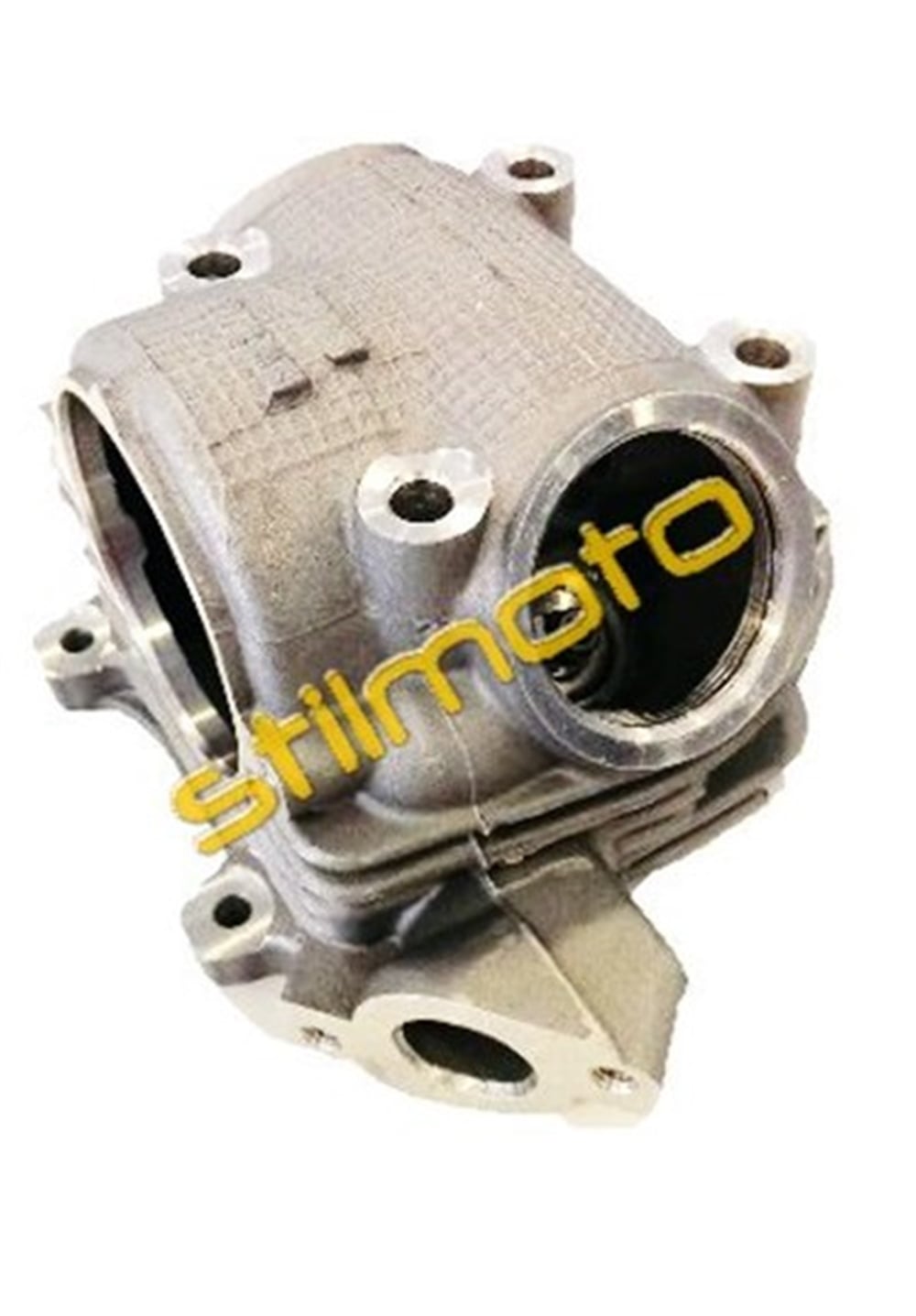 CYGNUS L SİLİNDİR KAPAK EUP 2