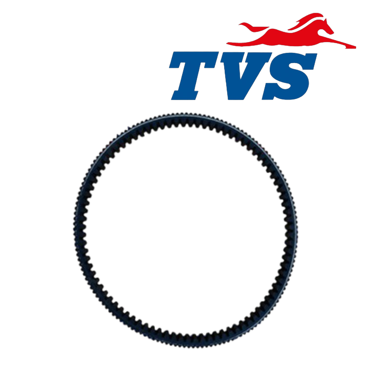 TVS JUPİTER 125 KAYIŞ   [ ORJINAL ]