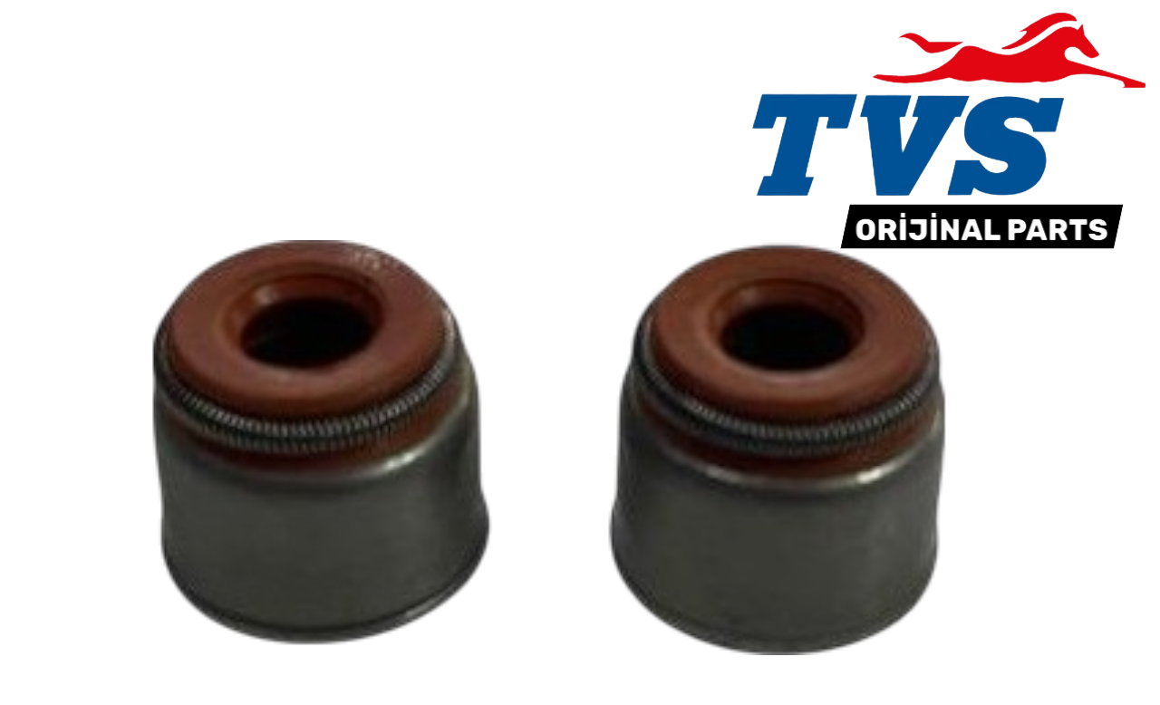 TVS WEGO SUBAP KEÇESİ TAKIM  ORJ.