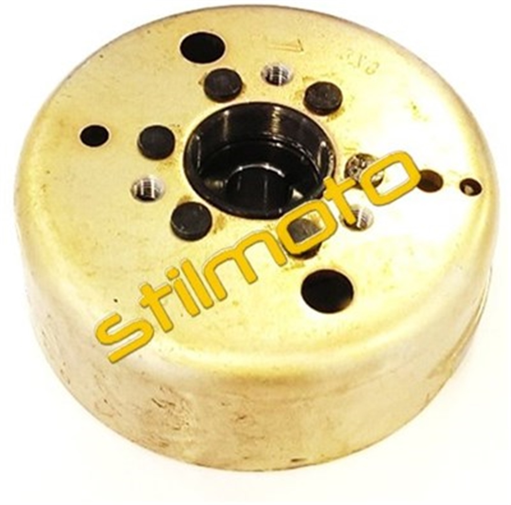 BWS 100 MANYETO ROTOR 