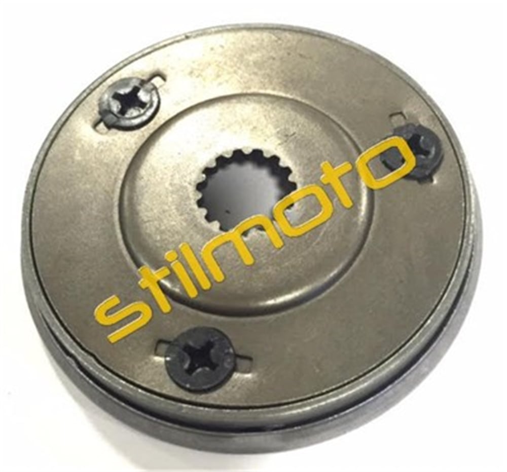 BWS 100 MARŞ KİTLEME ( cygnus l )