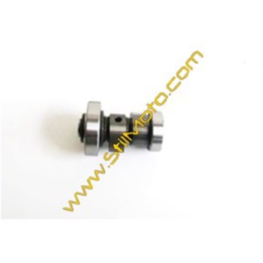 BWS 125 EKSANTRİK MİLİ 