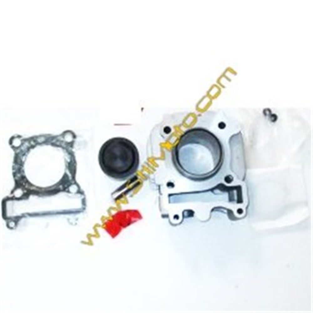 CYGNUS L SİLİNDİR KİT ( 53573 )