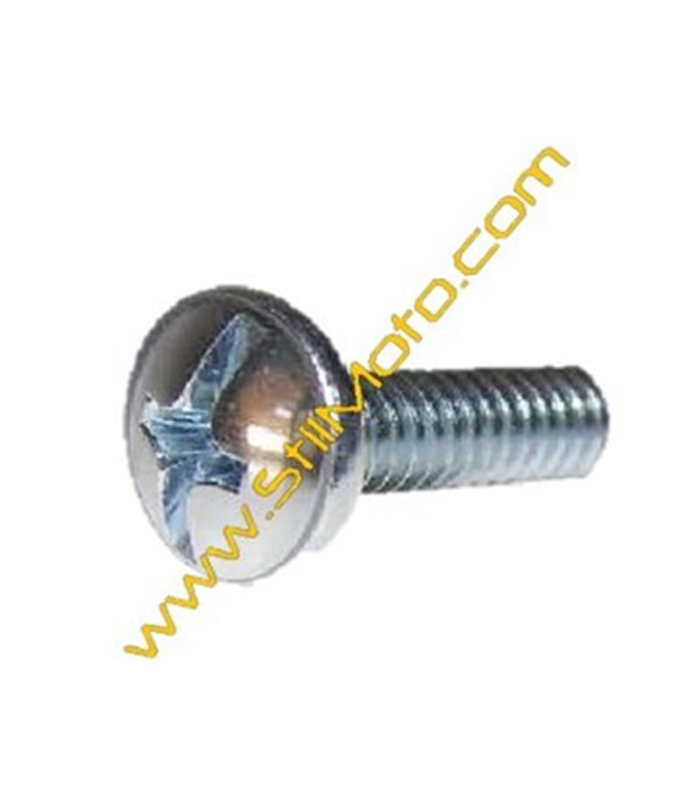 KAPORTA VİDASI ORTA M 6*20 CUP 
