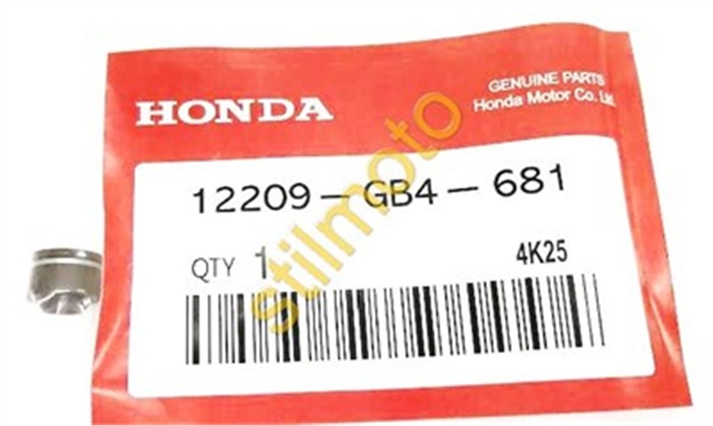 TODAY SUPAP KEÇESİ TEKLİ