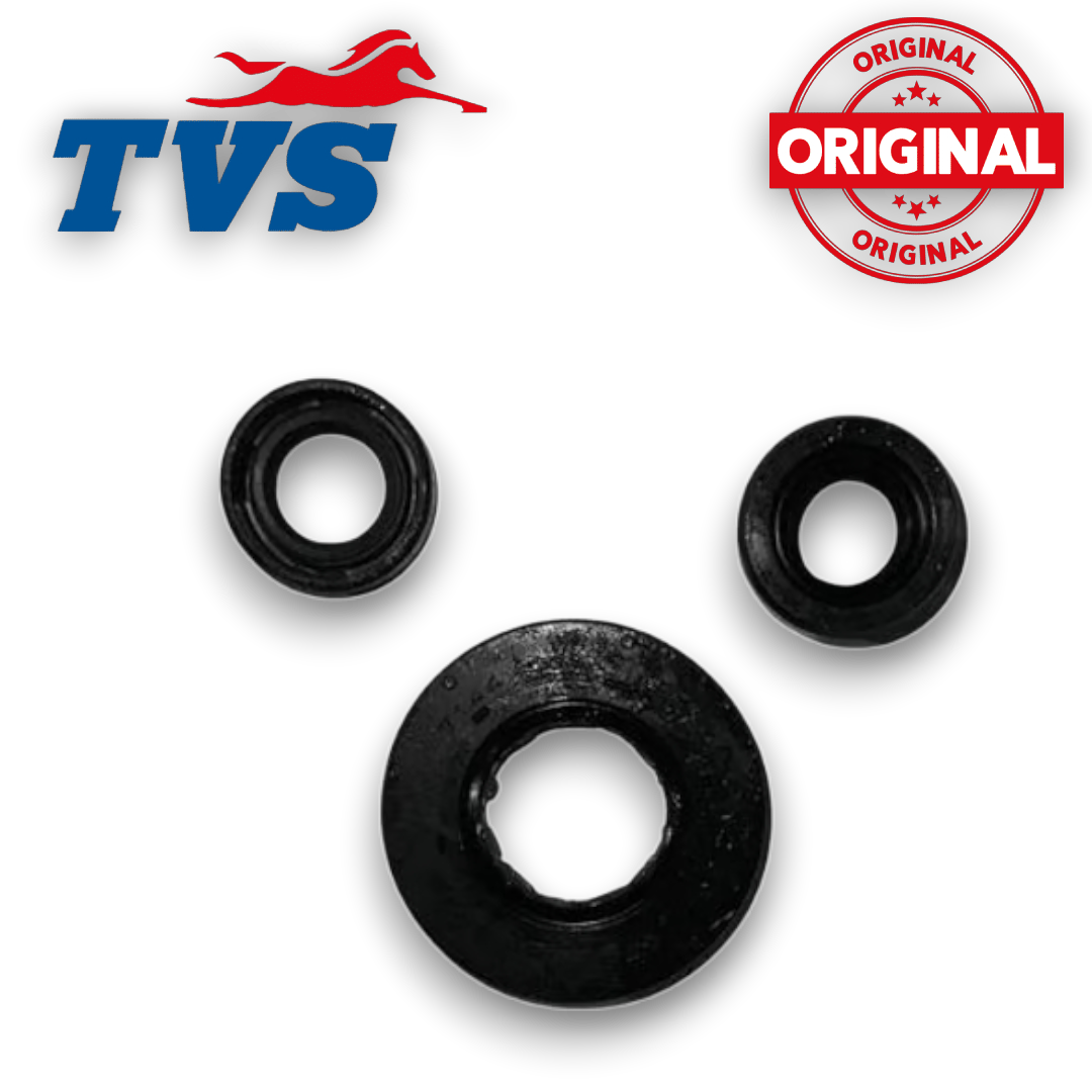 TVS APACHE RTR 200 KEÇE SETİ ORJİNAL